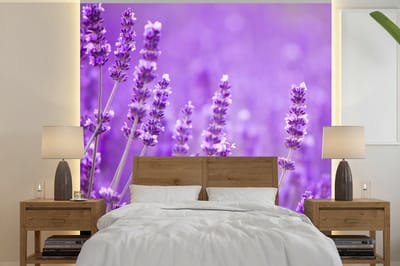 Behang - Fotobehang Lavendel - Close-up - Bloemen - Paars - Breedte 350 cm x hoogte 350 cm