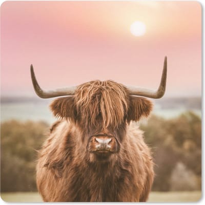 Muismat 20x20 cm - Mousepad Natuur - Schotse hooglander - Roze - Muismatten