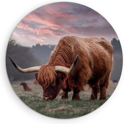 Saammp Muurcirkel Hout Schotse Hooglander Koe in de sneeuw- Dieren - Natuur - Ø 90 - Wandcirkel - Wanddecoratie Cirkel - muurdecoratie Woonkamer - Slaapkamer decoratie - Rond Schilderij