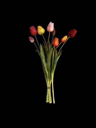 Seta Fiori - Bundel Tulpen 7 x - Multicolor - Real Touch - 45cm - Mixen met verse bloemen mogelijk