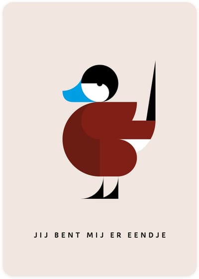Jij bent mij er eendje - 4x leuke verjaardagskaarten om te versturen - kaartenset - kaart met Rosse Fluiteend - vier kaarten met vogels