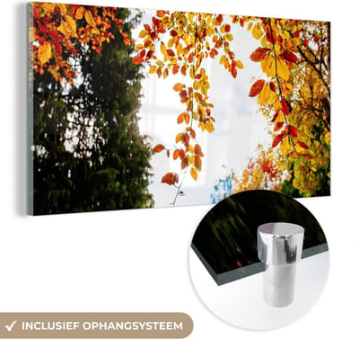 MuchoWow® Glasschilderij 40x20 cm - Schilderij acrylglas - Herfst - Bladeren - Natuur - Foto op glas - Schilderijen