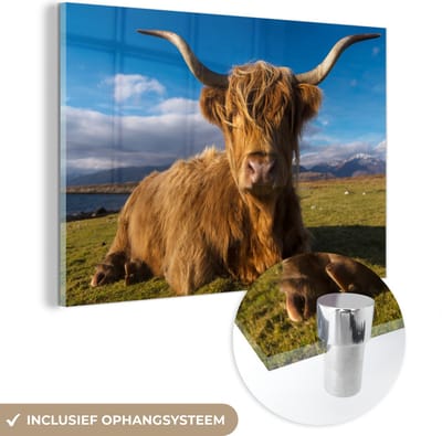 MuchoWow® Glasschilderij 150x100 cm - Schilderij acrylglas - Schotse Hooglander - Dieren - Gras - Foto op glas - Schilderijen