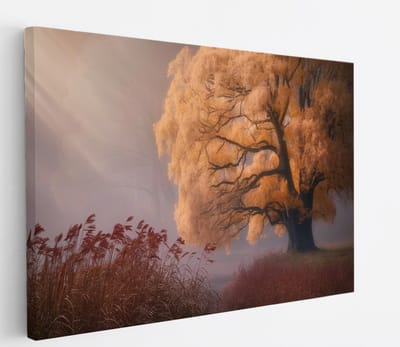 Saammp Canvas Schilderij - Hefst Achtig Landschap - Natuur - Bloemen - 45x30 - Foto op canvas - Wanddecoratie - Muurdecoratie Woonkamer - Slaapkamer decoratie - Canvas Print