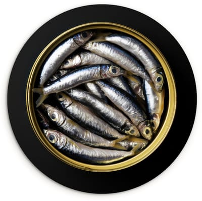 WallCircle® Wandcirkel 90x90 cm - Muurcirkel Sardines - Vissen - Rond - Zwart - Muurdecoratie woonkamer - Wanddecoratie slaapkamer - Kamer decoratie accessoires - Ronde schilderijen