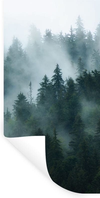 Muurstickers - Sticker Folie - Mist - Bomen - Bos - 40x80 cm - Plakfolie - Muurstickers Kinderkamer - Zelfklevend Behang - Zelfklevend behangpapier - Stickerfolie