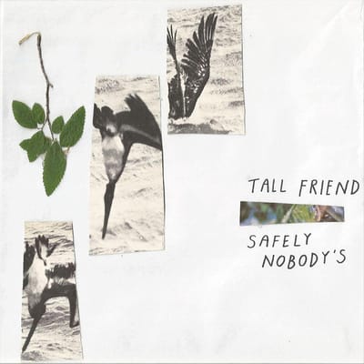 Safely Nobodys