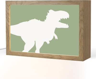 Nachtlampje 30x20 cm - Kinder lampje - Dino - T-rex - Dinosaurus - Groen - Tyrannosaurus rex - Tafellamp kinderkamer - Slaapkamer lamp - Bedlamp kinderen - Kinderlampje stopcontact - Wandlamp babykamer - Nachtlampjes