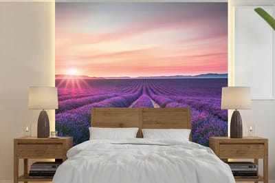 Behang - Fotobehang Lavendel - Paars - Bloemen - Breedte 350 cm x hoogte 350 cm