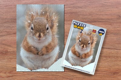 Puzzel Eekhoorn - Knaagdier - Sneeuwvlok - Winter - Legpuzzel - Puzzel 1000 stukjes volwassenen - Kerst - Cadeau - Kerstcadeau voor mannen, vrouwen en kinderen