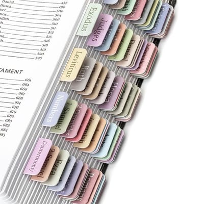 Dailygoods- Bijbeltabs 75 stuks - Gelamineerde Bijbeltabs - Grote druk - Bijbelaccessoires - Christelijke geschenken - Journaling Accessoires - Bijbelmarkers