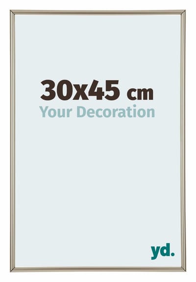 Your Decoration - Fotolijst 30x45 cm - Kunststof - Champagne - Annecy