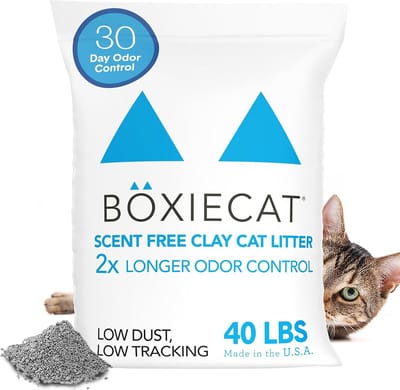 Premium Klontvormende Kattenbakvulling - Geurvrij en Stofarm