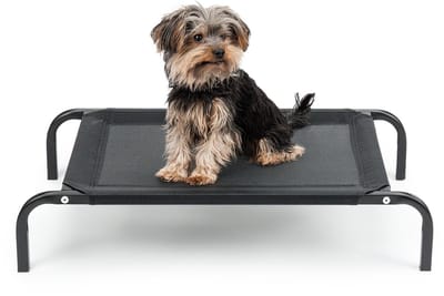 lionto verhoogd hondenbed belastbaar tot 30 kg, 75x47 cm zwart