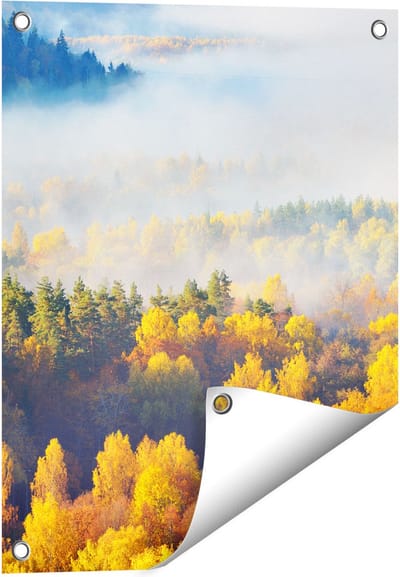 Gards Tuinposter Gekleurde Herfstbos met Mist - 40x50 cm - Tuindoek - Tuindecoratie - Wanddecoratie buiten - Tuinschilderij