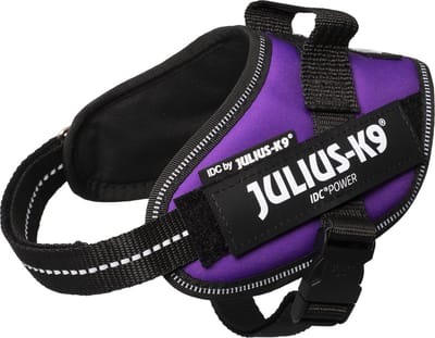 Julius-K9 IDC Powertuig - Hondentuig - XS - Mini-Mini - Dark Purple