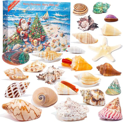 Adventskalender 2025 - Kleurrijke doos, afmetingen 35 × 25 × 5,5 cm - 24-daagse kerstaftelling voor kinderen - Ontdek, leer en maak een wetenschappelijk onderbouwd kerstcadeau voor jongens en meisjes