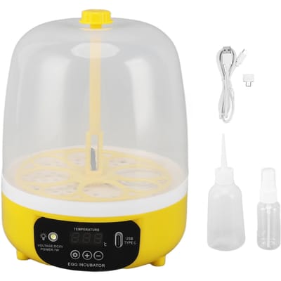 4 Eieren Incubator Temperatuur Vochtigheid Controle Visueel Laag Geluidsniveau Energiebesparend USB Mini Pluimvee white