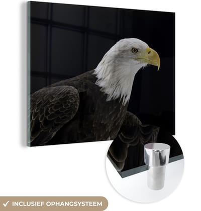 MuchoWow® Glasschilderij 160x120 cm - Schilderij acrylglas - Adelaar - Vogel - Snavel - Zwart - Foto op glas - Schilderijen
