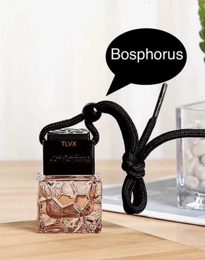 TLVX Autoparfum Bosphorus geur / Parfum voor auto / 8 ML / Kruidig / Frisse geur / Geurstokjes / Uniek flesje / Lange werking / Fris interieur / Lekker Auto Luchtje / Car diffuser / Air Freshener / Auto luchtverfrisser / Luxe uniseks geur