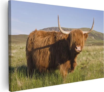 Artaza Canvas Schilderij Hooglander - 30x20 cm - Klein - Wanddecoratie Gewei - Muurdecoratie Natuur - Kamer Accessoires