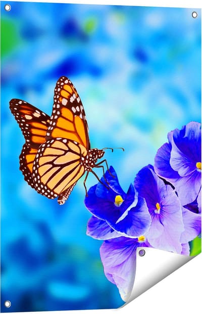 Gards Tuinposter Oranje Vlinder bij Paarse Bloemen - 60x80 cm - Tuindoek - Tuindecoratie - Wanddecoratie buiten - Tuinschilderij
