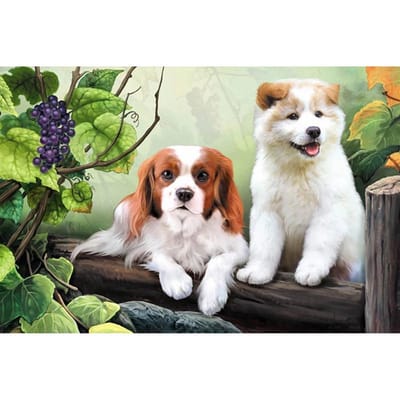Honden op druivenrek foto Home Decor Diamond schilderij Diamond Cross Stitch Diamond borduurwerk 20X30CM beige