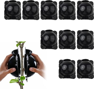 Hoogwaardige Root Grow Box voor Planten, 10 Stuks, Herbruikbaar voor Snij- en Zaailingen, Zwart, Ideaal voor Wortelontwikkeling en Vermeerdering