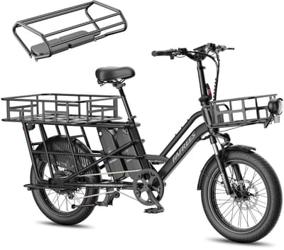 FAFREES 20 inch elektrische fiets met kinderzitjes – E-fiets – E-Bakfiets24Ah accu – maximaal 200kg draagvermogen – max 25km/u – tot 140km – voor gezinsuitjes en dagelijkse boodschappen –Zwart
