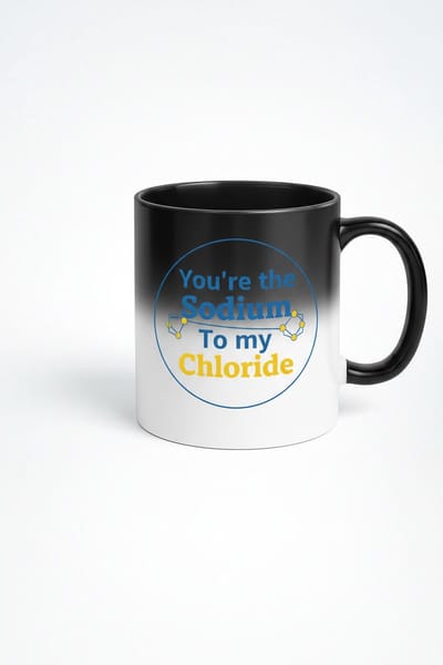 Magische Mok Scheikunde Liefde – 'You're the Sodium To my Chloride' – Kleurveranderende Mok Chemie Cadeau