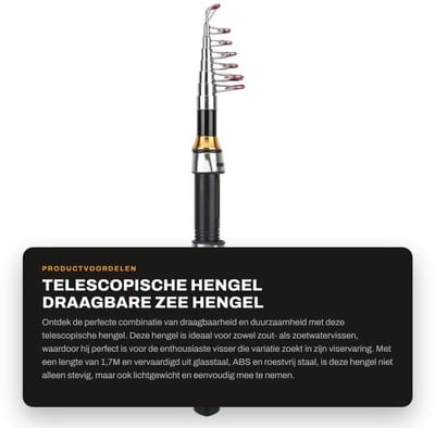 Dailygoods- Telescopische Hengel Draagbaar - Ijsvishengel - Zee Hengel - Vissen op zout/zoet water - Lichtgewicht - Duurzaam materiaal - Vishengel