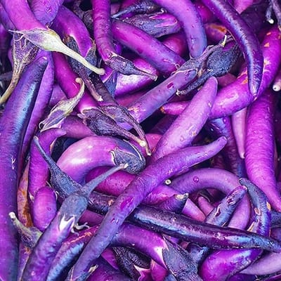 BIO aubergine zaden - Potaubergine Slim Jim