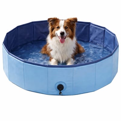 Ceruzo Hondenzwembad Ø120 cm – M – Opvouwbaar Hondenbad – Anti Slip – Blauw