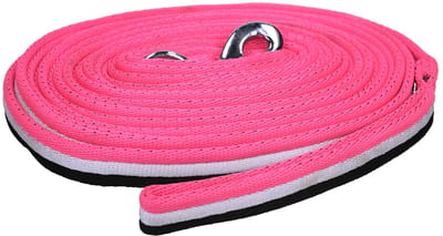 Epplejeck Longeerlijn Epplejeck Bennie Roze