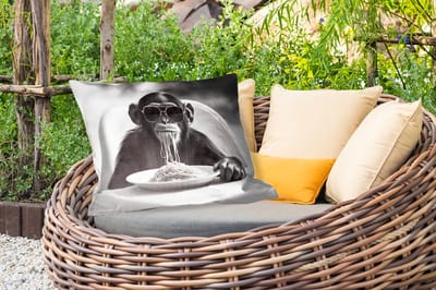 Buitenkussens - Aap - Spaghetti - Zonnebril - Zwart wit - Cool - Dier - 60x40 cm - Weerbestendig