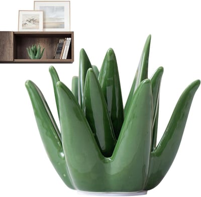 Aloë Plant Houder - Sieraden Organizer - Sieraden Opbergen - Keramisch Materiaal - 10x10x9 cm - Groen