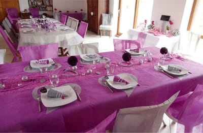 Santex Tafelkleed op rol - 2x - non woven polyetser - fuchsia roze - 120 cm x 10 m
