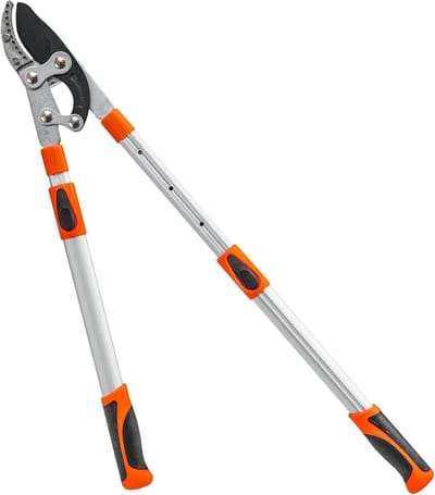 Boom snoeier - Takkenknipper - Tuinonderhoud - Verstelbare steel - Tot 6 cm dikte - Willekeurig