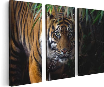 Artaza Canvas Schilderij Drieluik Tijger In De Jungle - 120x80 - Foto Op Canvas - Canvas Print