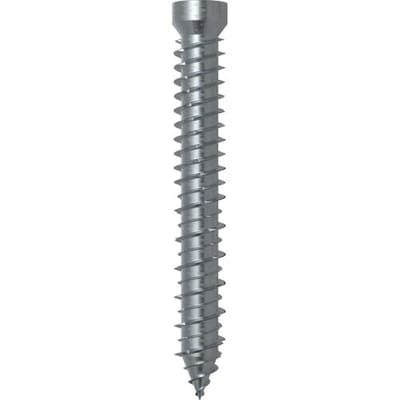 fischer Kozijnschroef FFSZ – 7,5 x 72 mm – Cilinderkop TX30 – Plugvrije montage voor houten kozijnen – 100 stuks