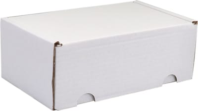 SendProof® Postpakketdoos | golfkarton | 110x180x71mm | gestanst | wit | 25 stuks