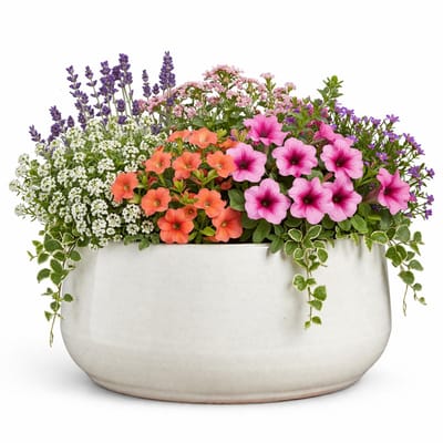 Mica Decorations plantenpot schaal Venice - ivoor wit - terracotta - D34 x H16.5 cm - effen