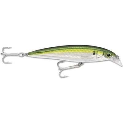 Ophangen van kunstaas Rapala x-rap® saltwater 12cm