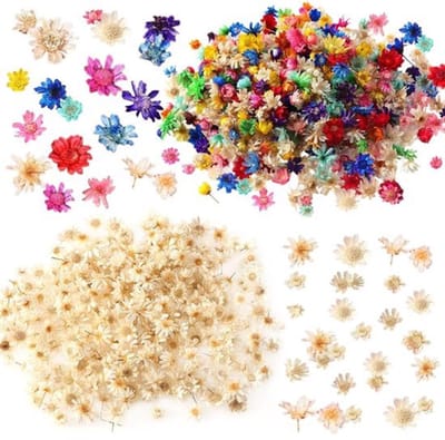 Gedroogde Bloemen Decoraties - Mini Bloemen - Knutselprojecten Versieren - Natuurlijke & Kleurrijke Selectie - 300 Stuks - Veelkleurig