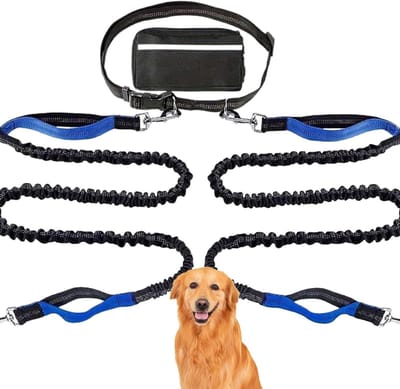 Honden Vastmaakkabel - Uitlaatlijn Honden - Veilig Buiten - Reflecterend Materiaal - 2-5 Meter - Blauw