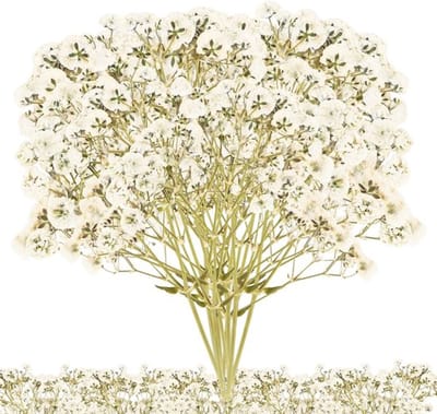Gedroogde Bloemen 100 Stuks - Mini-Gypsophila Boeket - Geperste Bloemen - Doe-Het-Zelf Sieraden - Handwerk - Bloemendecoratie - Droogbloemen