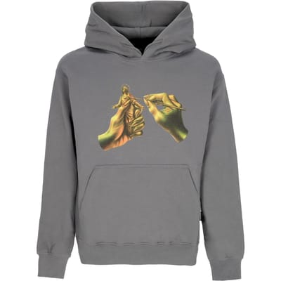 Dominet Hoodie Grijze Herenhoodie