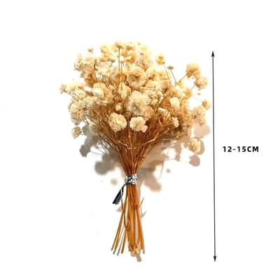 Mini Boeket Gedroogde Bloemen, Zigeuner Pijpenstrootje Riet Rietstengel Cadeaubox Auto Decoratie Bruiloft Corsage Souvenir Gedroogde Bloemen