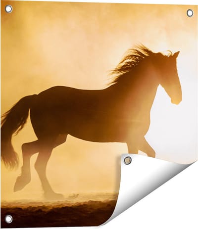Gards Tuinposter Silhouet van een Paard - 50x50 cm - Tuindoek - Tuindecoratie - Wanddecoratie buiten - Tuinschilderij
