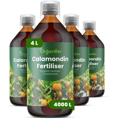 Vloeibare Meststof Voor Calamondin 4X1 L Voor 4000 L - Npk 2-1-8 - Calamondin Citrus - Krachtige Groei - Bloei - Vruchtzetting - Rijke Oogst - Sterk Wortelstelsel - Stressbestendi - Lange Bloeiperiode - Organifer